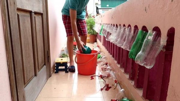 Amazing Plastic Bottle Vertical Garden Ideas, Plastic Bottles on Walls