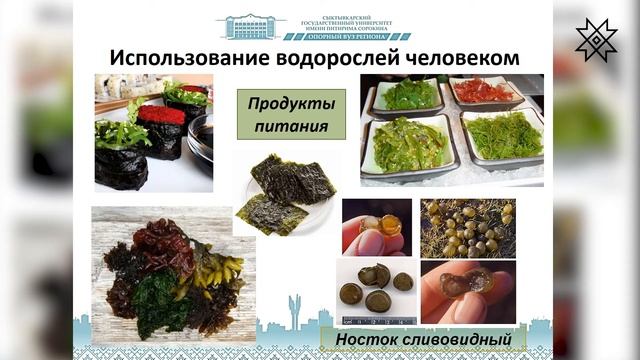 Юлия Шабалина - Зачем экологам альгология?