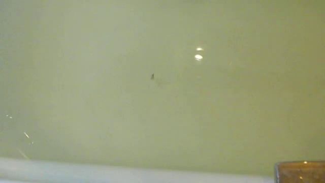 Блесна 6 (Лямзенко) смотреть онлайн