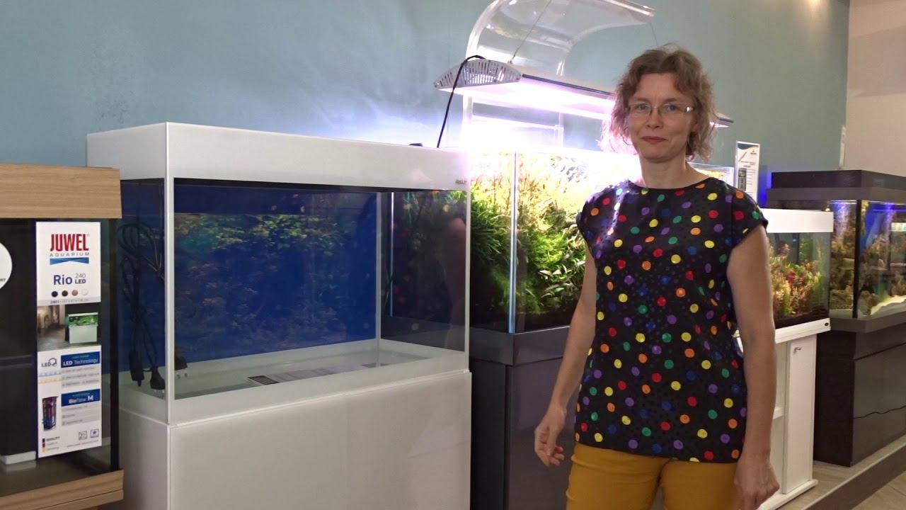 Аквариум с тумбой GLOSSY 80 смотреть онлайн