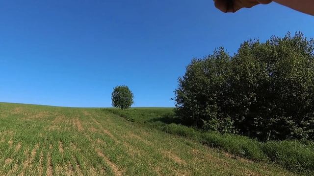 ВОТ ЧТО ЗНАЧИТ НЕ КОПАНОЕ МЕСТО! НАХОДКИ ПРУТ! Коп монет с металлоискателем XP новое 2023 смотреть онлайн