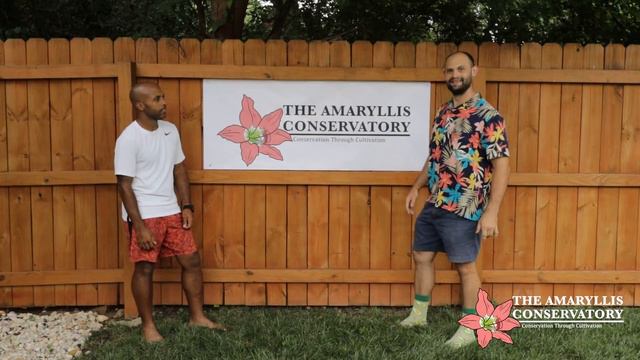 The Amaryllis Conservatory Logo Release (with Junior designs) смотреть онлайн