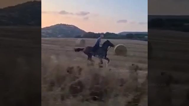 --------- смотреть онлайн