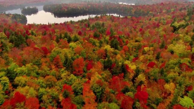 Planet Earth: Infinite Beauty смотреть онлайн