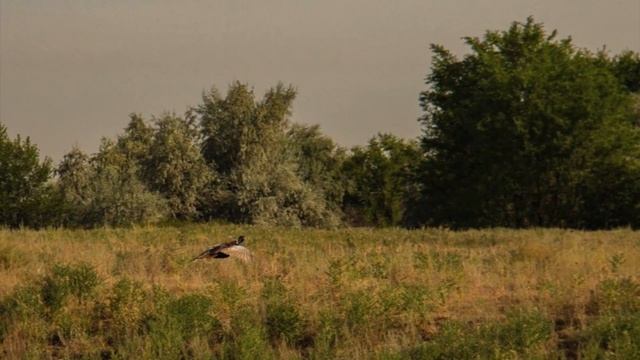FIELDTRIAL 20-24.04.2023 Анонс смотреть онлайн