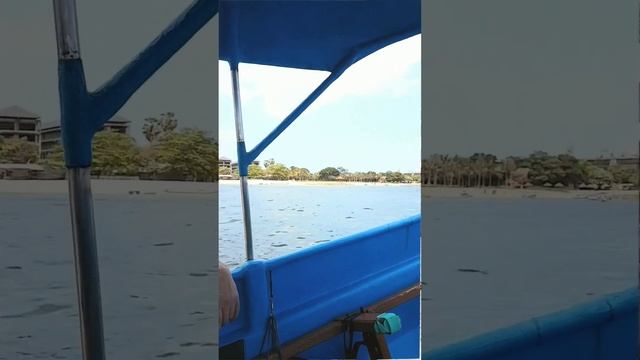 а вы видели больших черепах?? смотреть онлайн