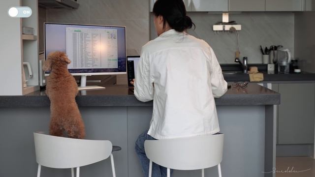 A freelancer's 'On Duty&Off Duty' at home (feat. Samsung Smart Monitor) смотреть онлайн