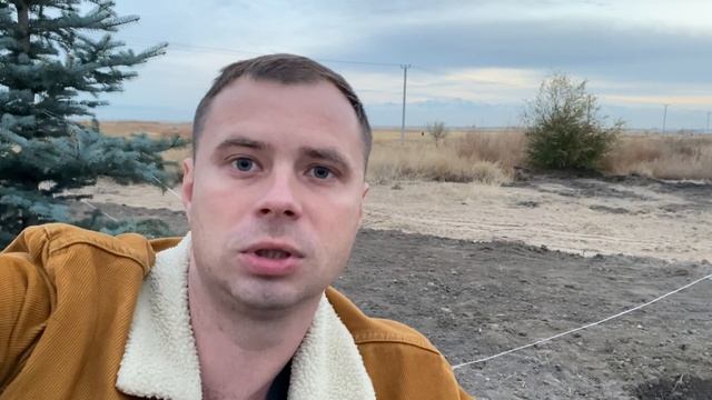 Каратэ Федерация