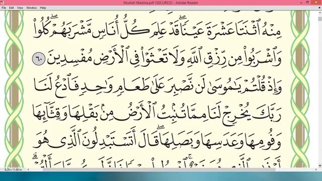 Practice reciting with correct tajweed - Page 09 (Surah Al-Baqarah) смотреть онлайн