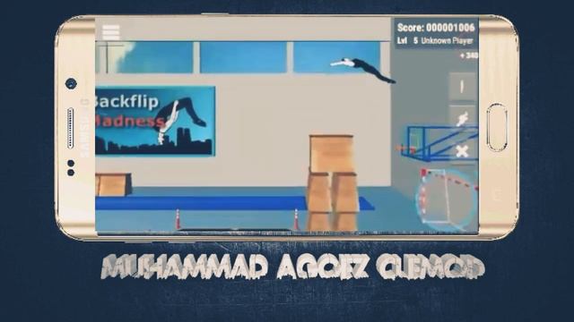 Обзор игры „BACKFLIP MADNESS“. смотреть онлайн