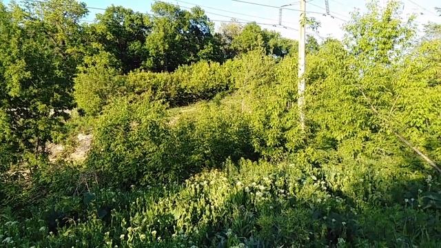 Молитва Роду для укрепления силы Духа? смотреть онлайн