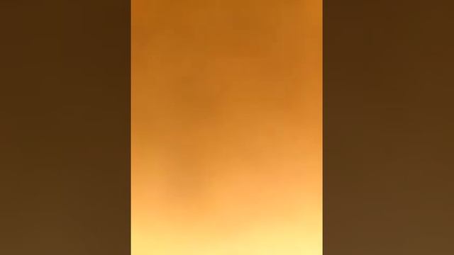 Пицца с креветками. смотреть онлайн