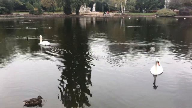 Доброе утро 🐍🐍🐍 смотреть онлайн