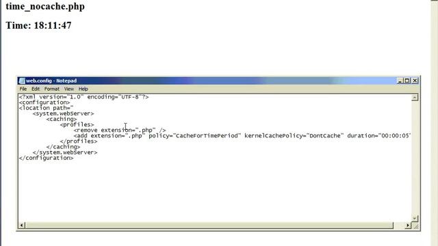 Output Caching for Dynamic PHP Pages in IIS7 Part 2 смотреть онлайн