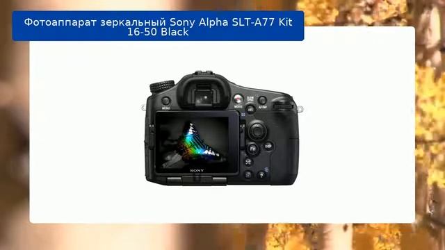 Фотоаппарат зеркальный Sony Alpha SLT-A77 Kit 16-50 Black обзор и отзыв смотреть онлайн