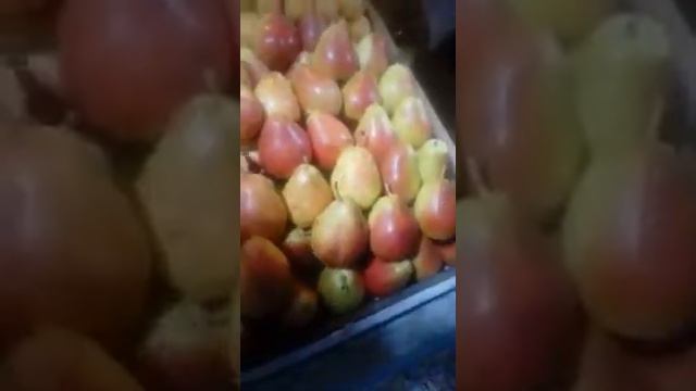 Анапа обман весь смотреть онлайн