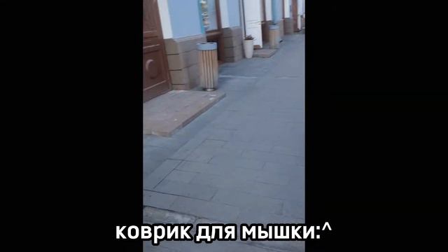 Kpop магазины, обзор // Loot4geek, Unicornshop, дом для сов, Panda Shop