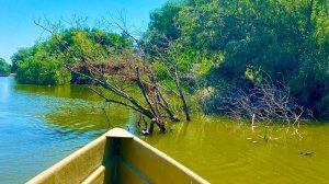 рыбалка В ДИКИХ МЕСТАХ АСТРАХАНИ ЭТО РАЙ ДЛЯ РЫБАКА
