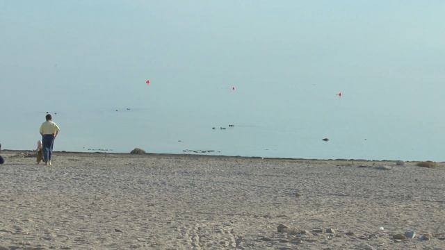 Тестовое видео на цифровую камеру Panasonic HC-X900 смотреть онлайн