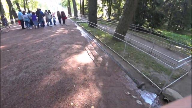 St. Petersburg/Петергоф ч.2. Балтика. Обзор: Фонтаны/Парк/сад смотреть онлайн