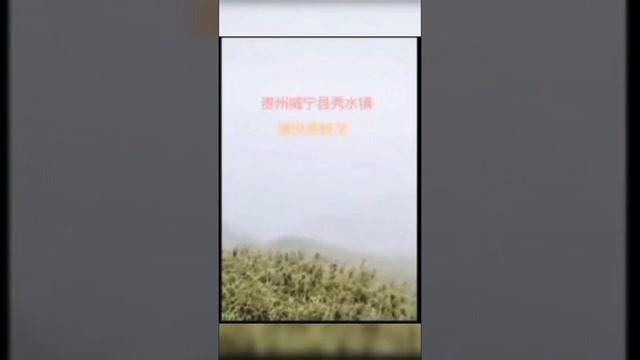 ЧТО??!?!?!?!?!? В КИТАЕ ПРОСНУЛСЯ ДРАКОН???? /КИТАЙСКИЙ ДРАКОН/ смотреть онлайн