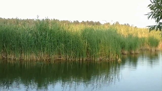 Лето на базе отдыха У озера Алтайский край озеро Песчаное смотреть онлайн