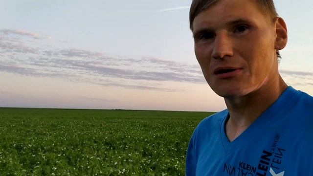 28ц/га горох цветение Сорт Факор смотреть онлайн