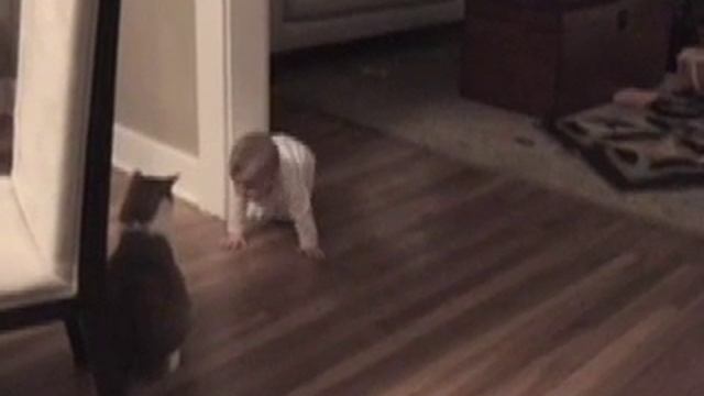 I'm Gonna Git You Sucka смотреть онлайн