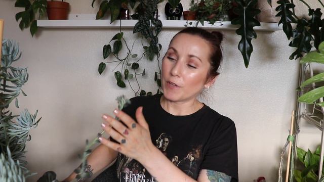 My Plants are Doing Cool Things! FLOWERS & NEW LEAVES! *fun updates* смотреть онлайн
