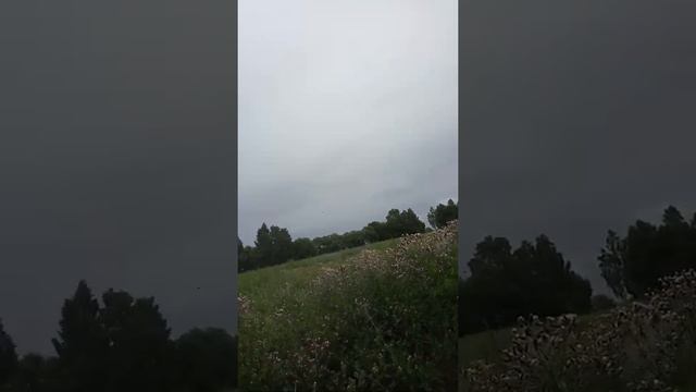 Пасека Кузьмича смотреть онлайн