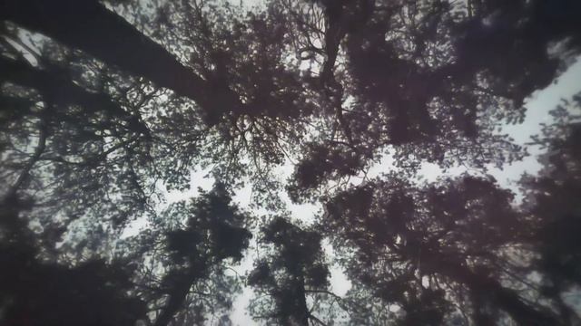 Убойная музыка в машину для быстрой езды ХИТ 2020 смотреть онлайн