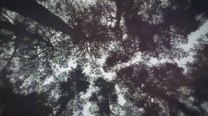 Убойная музыка в машину для быстрой езды ХИТ 2020