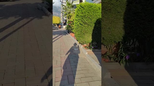 иду на бачата в Махмутлар смотреть онлайн