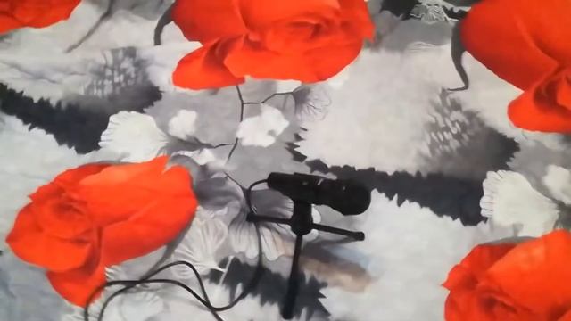 Микрофон Ritmix RDM-120 черный Видеоотзыв (обзор) Светланы смотреть онлайн