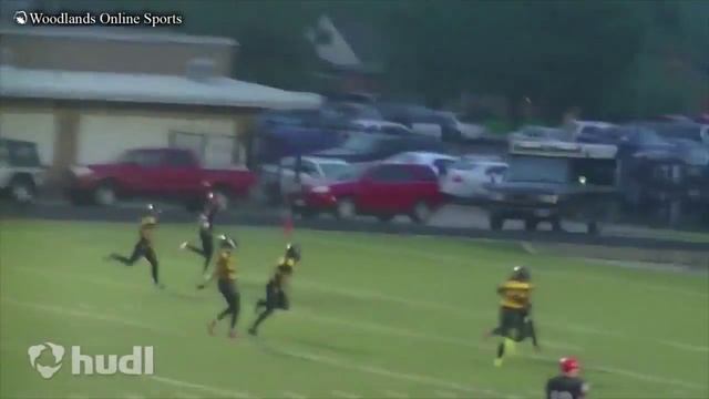 The Woodlands Wildcats Announcment смотреть онлайн