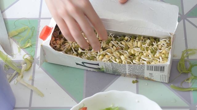Салат Йога с овощами и лапшой фунчоза смотреть онлайн