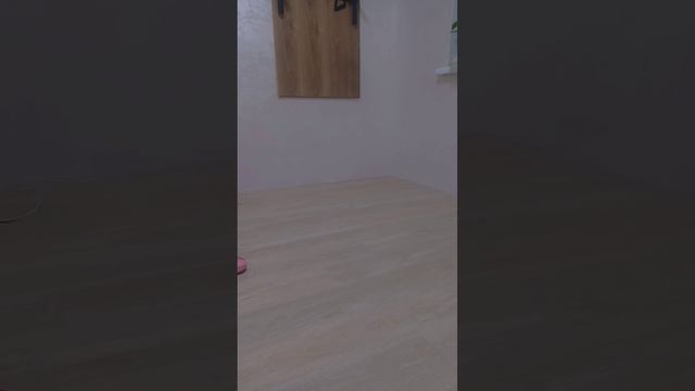 Lv_0_20240426215440.mp4