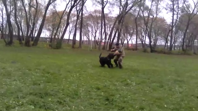 VID_20161016_144642 смотреть онлайн
