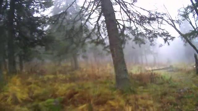 Последняя часть пути от Откликного до места стоянки смотреть онлайн