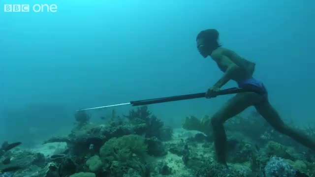 Подводная охота смотреть онлайн