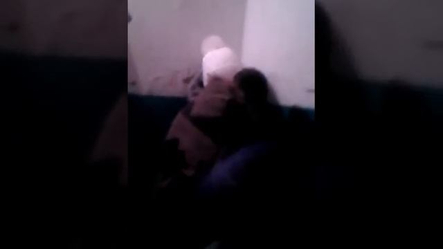 Вот как надо целоваца смотреть онлайн