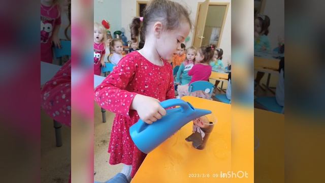 Проект "Полезный друг" смотреть онлайн