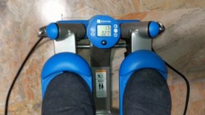 Domyos Twister Stepper