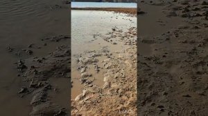Отпуск. Голубое озеро в Самарском Ростовская область. Честный отзыв и обзор.