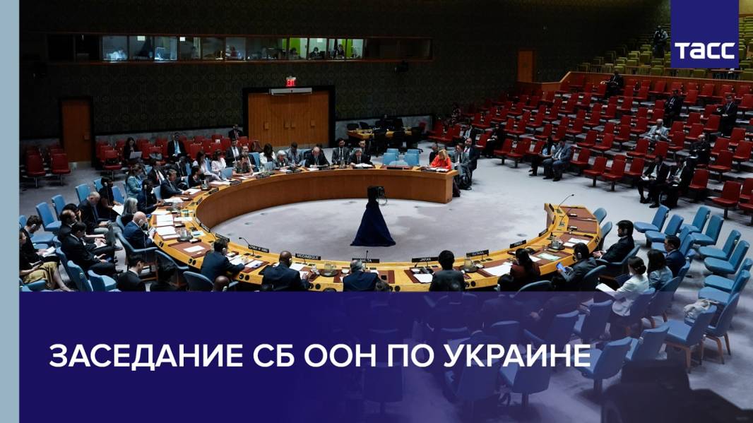 Заседание СБ ООН по Украине