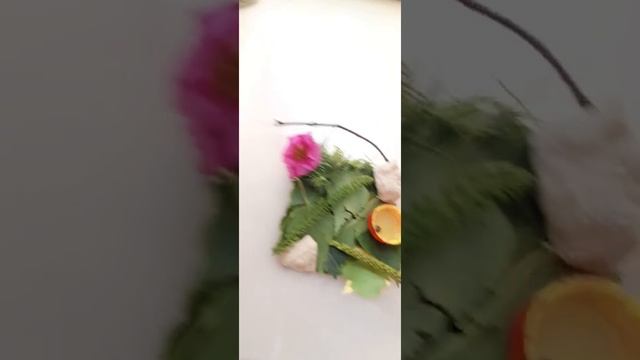 рассказываю как ухаживать за божьей коровкой и как ухаживать за терариумам? смотреть онлайн