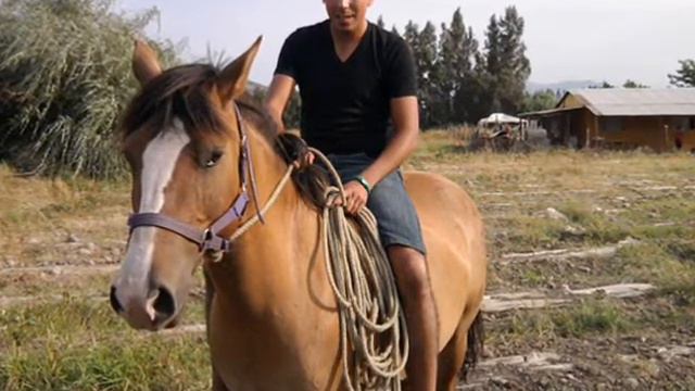 Siempre Te Recordaremos Sergio Eduardo Montino Vargas смотреть онлайн