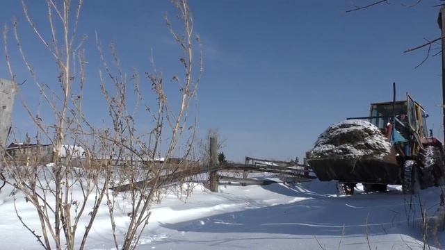Купить трактор ЮМЗ облегчить труд фермера в деревне Бажениты смотреть онлайн