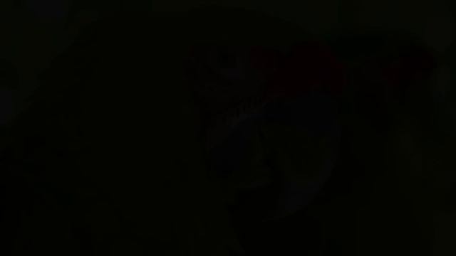 Chirping Melody #79 | Healthy Sleep And Hygiene