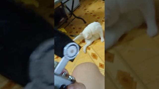 Test flash Soligor смотреть онлайн